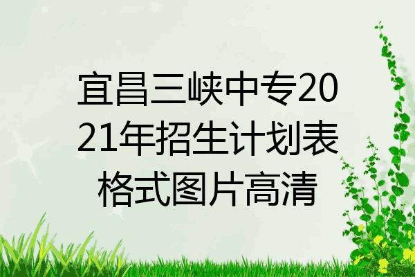 宜昌三峡中专2021年招生计划表格式图片高清