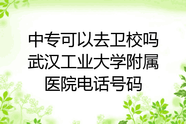 中专可以去卫校吗武汉工业大学附属医院电话号码