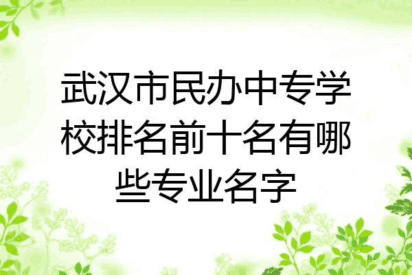 武汉市民办中专学校排名前十名有哪些专业名字