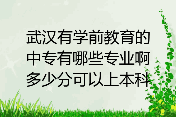 武汉有学前教育的中专有哪些专业啊多少分可以上本科