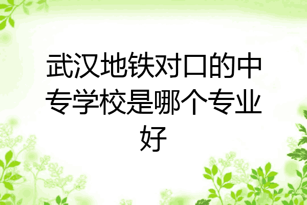 武汉地铁对口的中专学校是哪个专业好