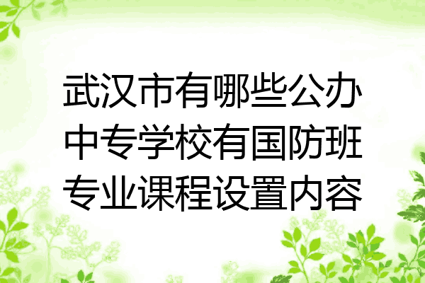 武汉市有哪些公办中专学校有国防班专业课程设置内容