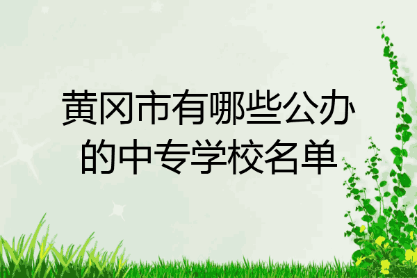 黄冈市有哪些公办的中专学校名单