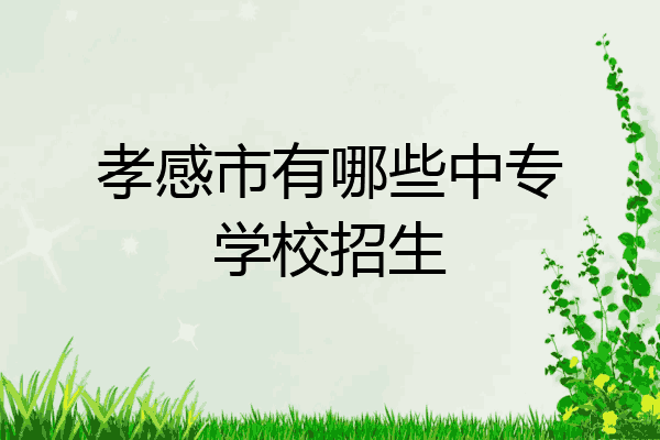 孝感市有哪些中专学校招生