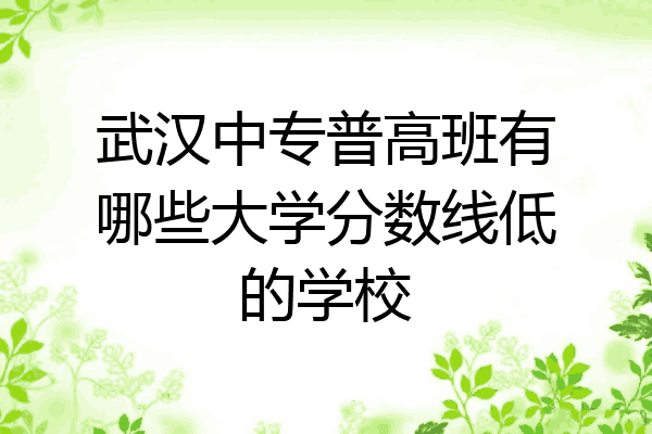武汉中专普高班有哪些大学分数线低的学校