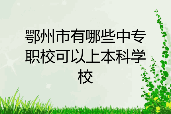 鄂州市有哪些中专职校可以上本科学校