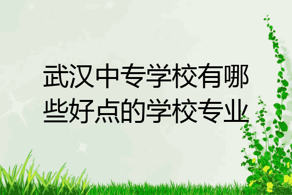 武汉中专学校有哪些好点的学校专业