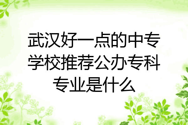 武汉好一点的中专学校推荐公办专科专业是什么