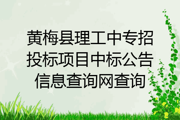 黄梅县理工中专招投标项目中标公告信息查询网查询