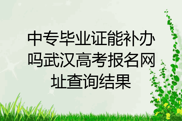 中专毕业证能补办吗武汉高考报名网址查询结果