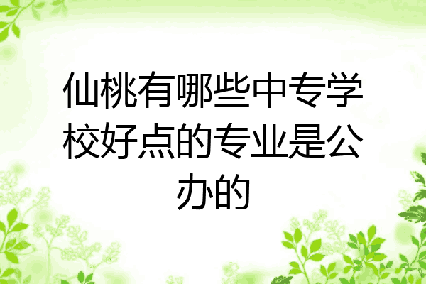 仙桃有哪些中专学校好点的专业是公办的