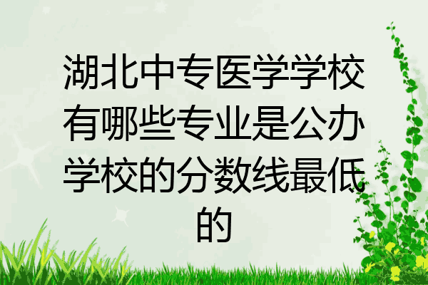 湖北中专医学学校有哪些专业是公办学校的分数线最低的