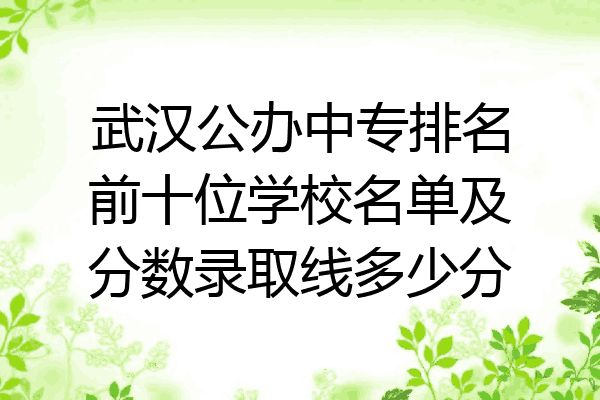武汉公办中专排名前十位学校名单及分数录取线多少分