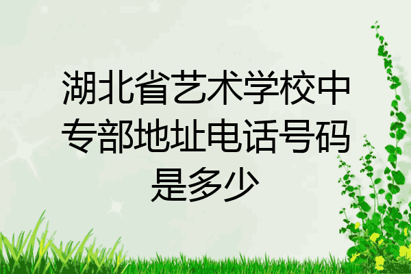 湖北省艺术学校中专部地址电话号码是多少