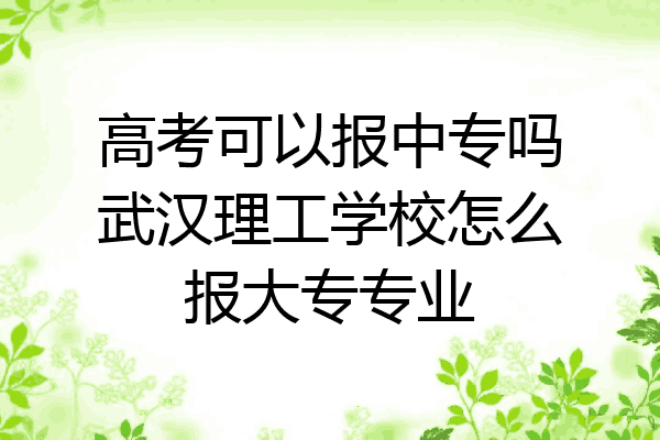 高考可以报中专吗武汉理工学校怎么报大专专业