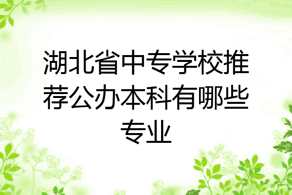 湖北省中专学校推荐公办本科有哪些专业