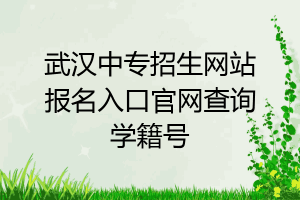 武汉中专招生网站报名入口官网查询学籍号