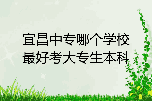 宜昌中专哪个学校最好考大专生本科