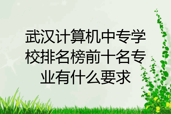 武汉计算机中专学校排名榜前十名专业有什么要求