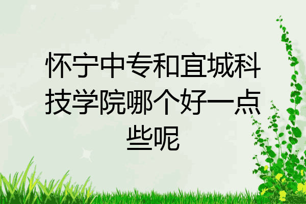 怀宁中专和宜城科技学院哪个好一点些呢