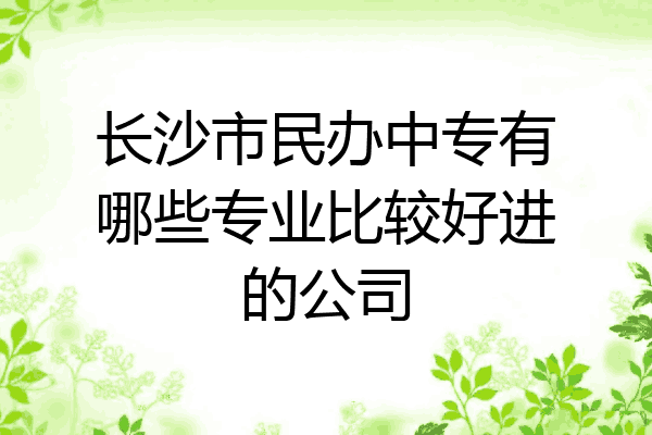 长沙市民办中专有哪些专业比较好进的公司