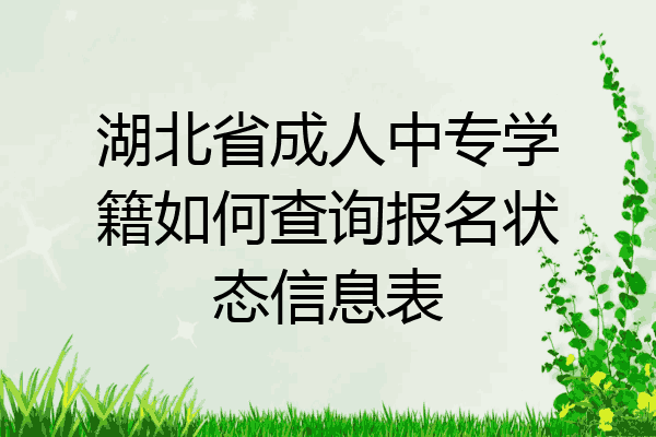 湖北省成人中专学籍如何查询报名状态信息表