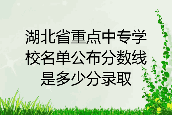 湖北省重点中专学校名单公布分数线是多少分录取