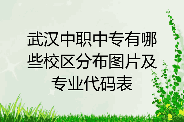 武汉中职中专有哪些校区分布图片及专业代码表