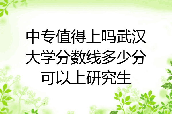 中专值得上吗武汉大学分数线多少分可以上研究生