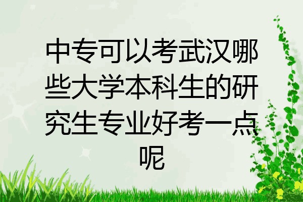 中专可以考武汉哪些大学本科生的研究生专业好考一点呢