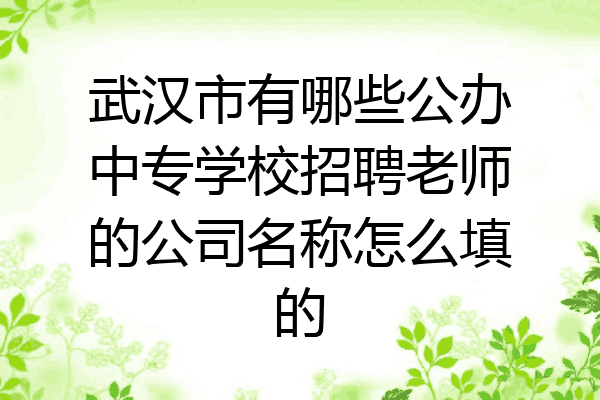 武汉市有哪些公办中专学校招聘老师的公司名称怎么填的