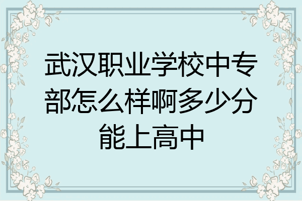 武汉职业学校中专部怎么样啊多少分能上高中