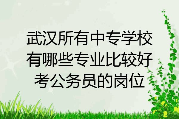 武汉所有中专学校有哪些专业比较好考公务员的岗位