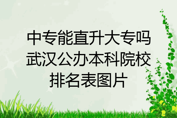 中专能直升大专吗武汉公办本科院校排名表图片