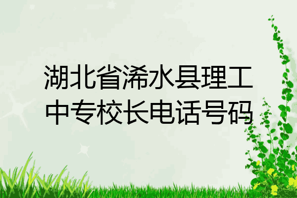 湖北省浠水县理工中专校长电话号码