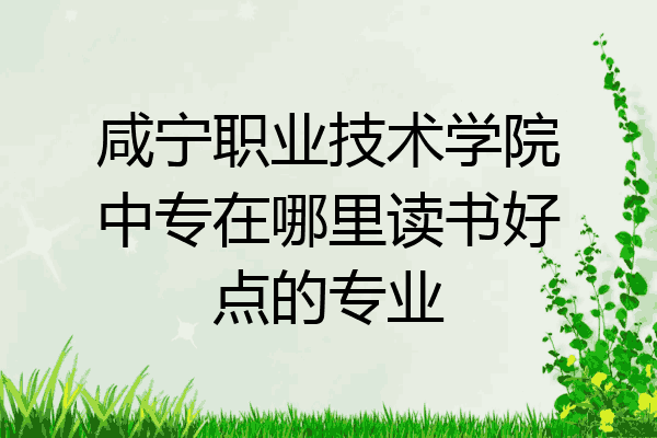 咸宁职业技术学院中专在哪里读书好点的专业