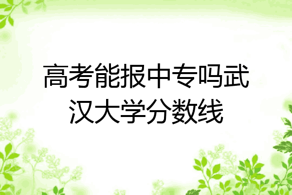 高考能报中专吗武汉大学分数线