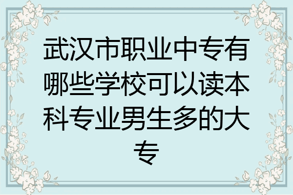 武汉市职业中专有哪些学校可以读本科专业男生多的大专