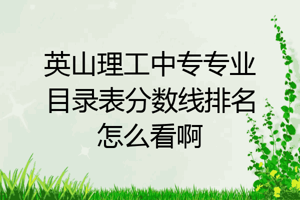 英山理工中专专业目录表分数线排名怎么看啊