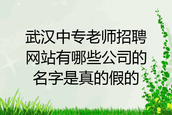 武汉中专老师招聘网站有哪些公司的名字是真的假的