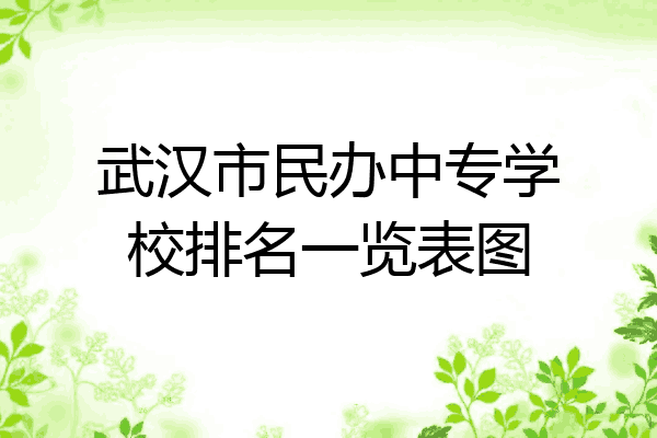 武汉市民办中专学校排名一览表图