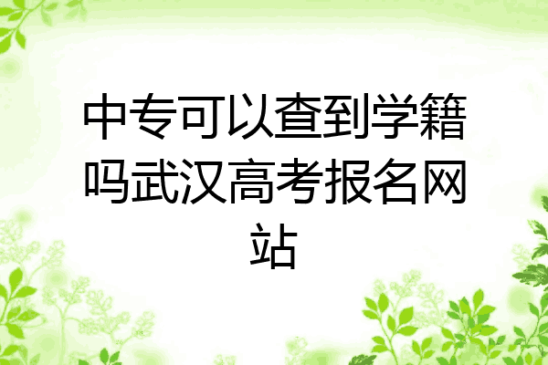 中专可以查到学籍吗武汉高考报名网站