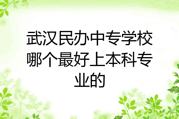 武汉民办中专学校哪个最好上本科专业的