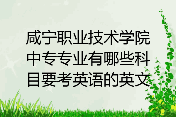 咸宁职业技术学院中专专业有哪些科目要考英语的英文