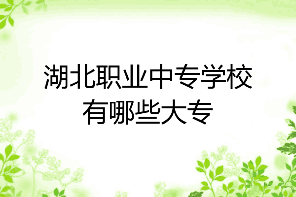 湖北职业中专学校有哪些大专