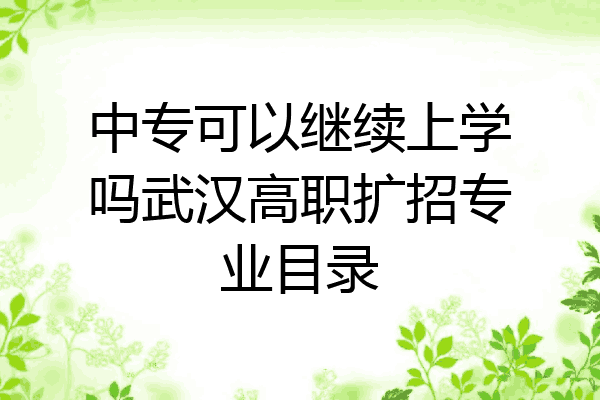 中专可以继续上学吗武汉高职扩招专业目录