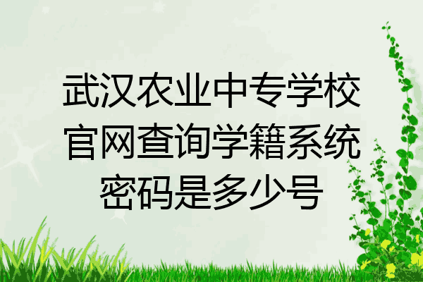 武汉农业中专学校官网查询学籍系统密码是多少号