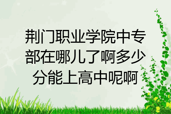 荆门职业学院中专部在哪儿了啊多少分能上高中呢啊