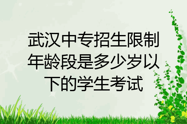武汉中专招生限制年龄段是多少岁以下的学生考试