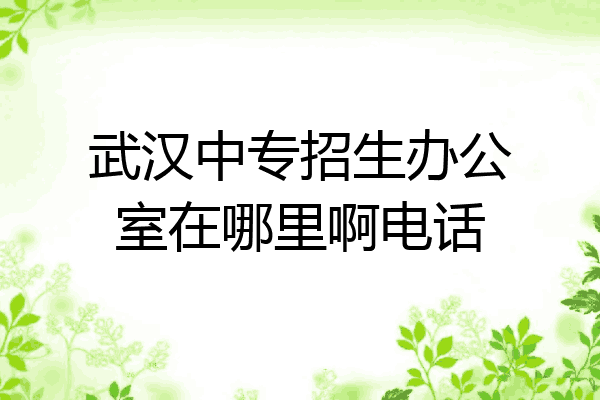 武汉中专招生办公室在哪里啊电话